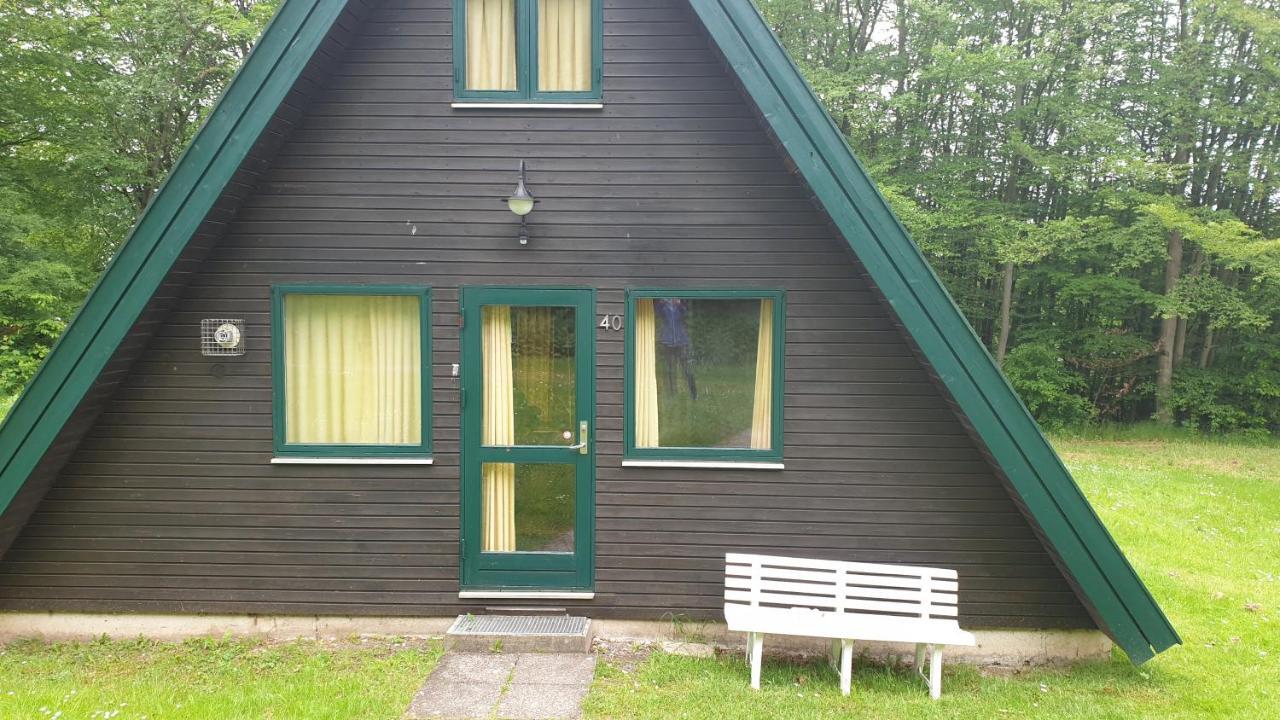 Ferienhaus Nr. 40 Im Ferienpark Am Twistesee Бад-Арользен Экстерьер фото